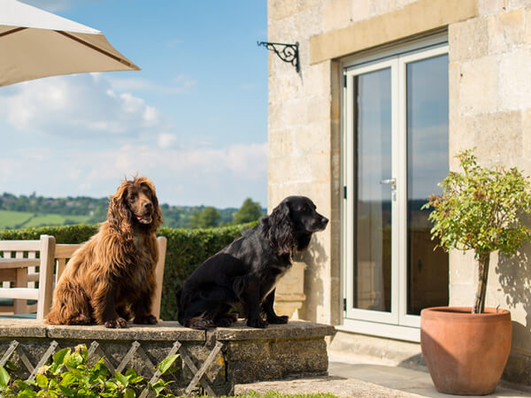 Origin Aluminium French Doors with 2 dogs sitting in foreground